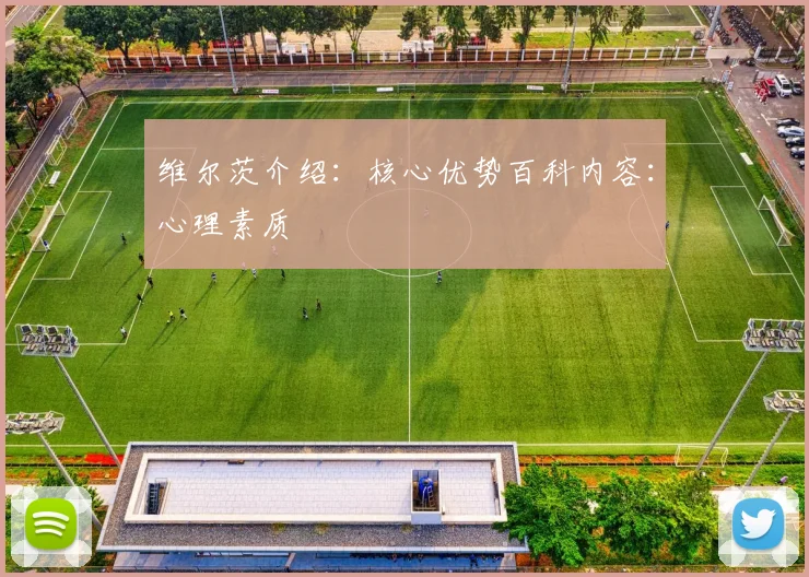 维尔茨介绍：核心优势百科内容：心理素质